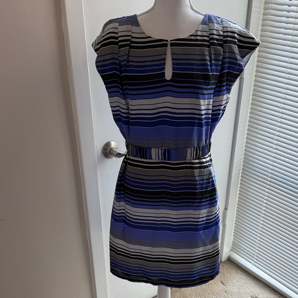 Banana Republic Factory Blue and Black Striped Mini Dress